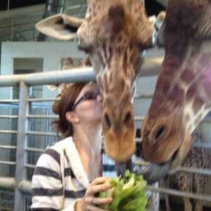 Meet your Posher, Jamie